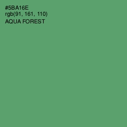 #5BA16E - Aqua Forest Color Image